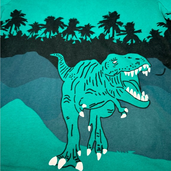 Hanna Andersson Boys Dinosaur T-Rex Graphic T-shirt Green Size 10 - Picture 2 of 4